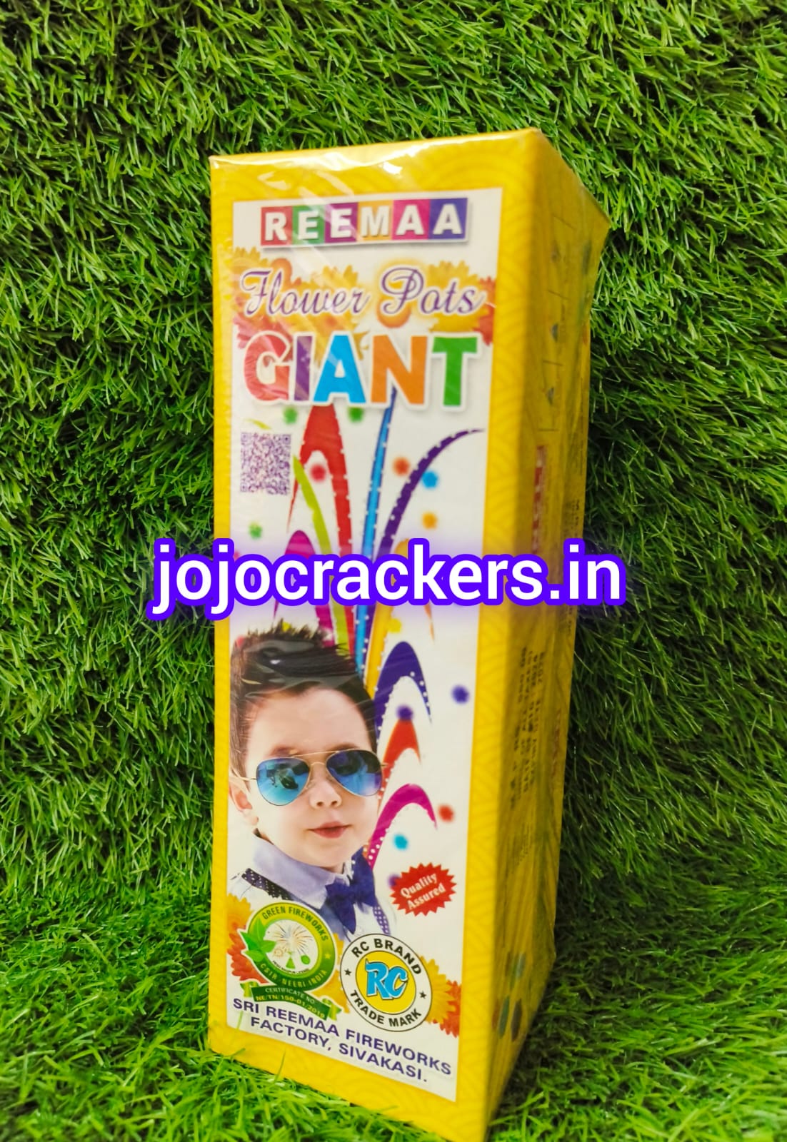 FLOWER PORS GAINT