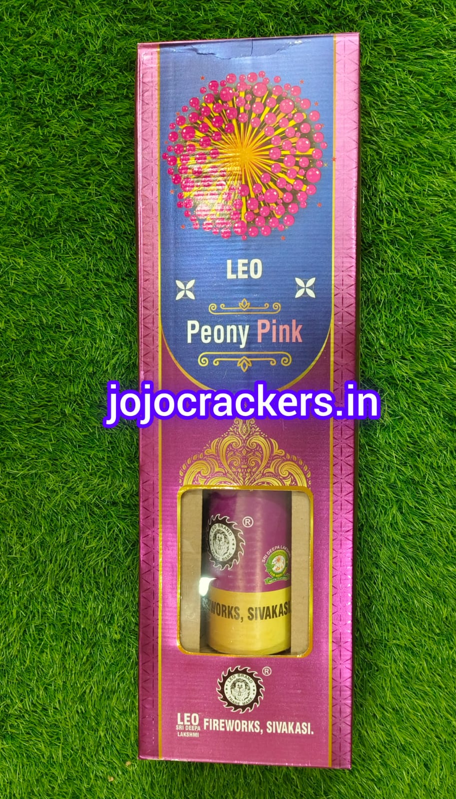6'' FANCY  PINK ( LEO)